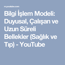 Bilgi Islem Modeli Duyusal Calisan Ve Uzun Sureli Bellekler Saglik Ve Tip Youtube Bilgi Islem Bilgi Psikoloji