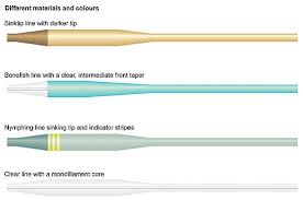 fly line anatomy global flyfisher