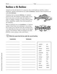 Vertebrates And Invertebrates Worksheets Grade 6 Vertebrates And Invertebrates Invertebrates Vertebrates