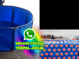 Harga Terpal 10 10 0896 7465 4330 Wa Tempat Cincin