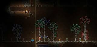 Terraria Gemcorns How To Grow More Gems Vg247