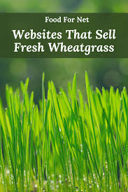 You can even use recycled materials as a planter. Buy Fresh Wheatgrass Online From These 3 Websites Food For Net