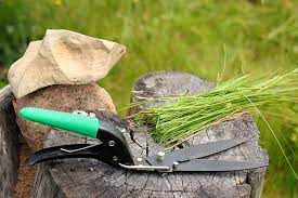 Whether edging or topping your lawn or just cleaning up weeds around your borders, you need a quality tool. The Best Grass Shears For A Neat And Tidy Garden Buyer S Guide Trees Com