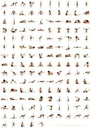 1 Hour Yoga Sequence For Beginners Google Search Hatha Yoga Poses Basic Yoga Poses Yoga Poses Chart