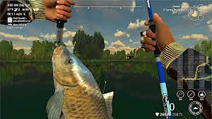 Fishing planet trophy list • 17 trophies • 97,149 owners • 4.63% average 0 platinum • 0 gold • 4 silver • 13 bronze fishing planet trophies • psnprofiles.com Musette S Content Fishing Planet Forum