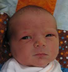 SUMMER 2 0 1 4 LHC Working Toward Baby-Friendly Designation New Hospital  and Clinic Facility Anthocyanins, Anyone?