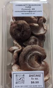Image result for Lentinus edodes