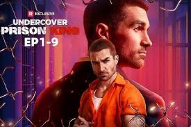 What Should We Know About Undercover Prison King Book Versus Movie?