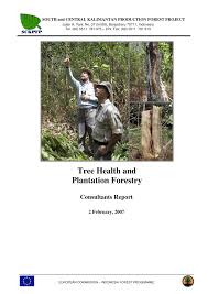 We operate malaysia wide through our offices in malaysia and partners in malaysia. Pdf Tree Health And Plantation Forestry In Kalimantan A Survey And Assessment Of Pests And Diseases Of Major Tree Species
