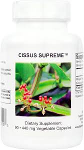 Image result for Cissus
