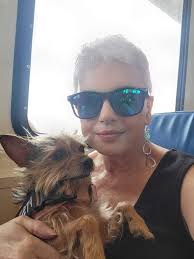 Camping in Brewster, Cape Cod with dogs