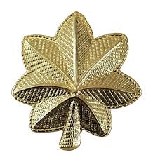 Its capabilities are truly unprecedented! Amazon Com Metal Rank Insignia Maj Leaf Gold Pr Industrial Scientific