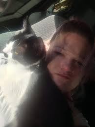 Lost Cat in North Highlands near Melrose Dr