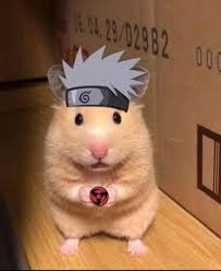 Still it is possible to compress jpg file by standard method by specifying level of quality. 840 Memes Ideas In 2021 Cute Memes Memes Mood Pics