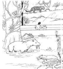 Untuk download, sila klik kanan pada gambar dan pilih 'save image as' atau 'save picture as'. Gambar Kartun Lucu Gambar Kartun Haiwan Di Zoo