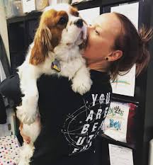 We did not find results for: Paws Pet Resorts Stay N Play
