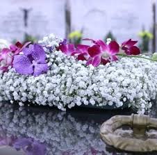 Floristería Tin