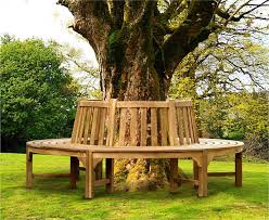 A delightful accent for your lawn or patio, this lovely bench is. Teak Tree Seats Square Peg Round Hole