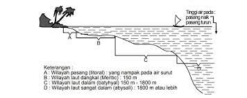 Zona laut jenis dan macam macamnya ilmugeografi com. Zona Pesisir Dan Zona Laut Zona Laut Berdasarkan Kedalamannya