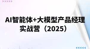 AI智能体+大模型产品经理实战营（2025） - 小麻雀IT分享站