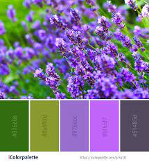 Color Palette Ideas Icolorpalette Colors Inspiration Graphics Design Inspiration Beautiful Colorpale Lavender Color Palette Purple Color Palettes Color