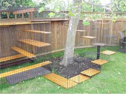 Shop now to choose from various colors and sizes! Outdoor Cat Playpen Ideas On Foter
