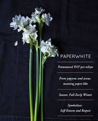 Be Happy Paperwhite Flowers Flower Meanings Flower Bouquet Wedding
