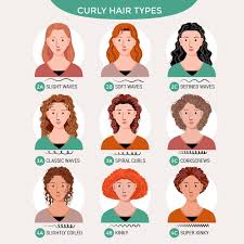Ma quanti tipi di capelli ricci esistono? Set Di Tipi Di Capelli Ricci Disegnati A Mano Vettore Gratis