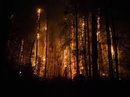 Redeem this code for breathing style & demon art reset code. The Forest Burning At Night South Georgia Oc Firefighter Pictures Forest Forest Spirit