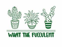 This saguaro cactus sunset pattern was designed specifically to give you a chance to use what you know basic embroidery supplies to get you started. Cactus Designs For Embroidery Machines Embroiderydesigns Com