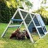 Search only for how to build a chicken coup 1