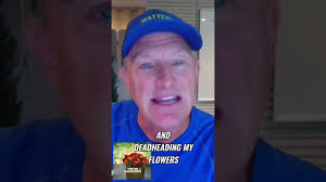 Therapeutic Gardening