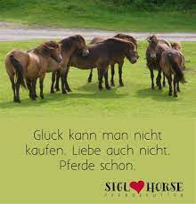 gluck kann man nicht kaufen pferde schon pferde zitate pferdespruche reit zitate