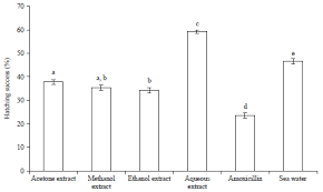 Image result for Phragmanthera capitata