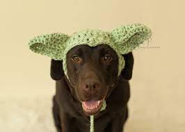 Crochet Pattern 040 Large Dog Hat Dog Alien Child Hat Etsy In 2021 Dog Hat Dog Halloween Costumes Dog Snood
