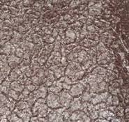Crocodile powder coating - Crocodile skin powder paint