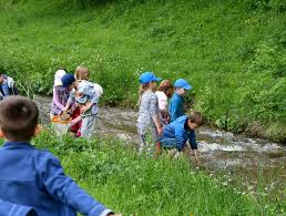Natura In Spirit și Fapte Voluntariat Pentru Viitor Agenția Națională Pentru Arii Naturale Protejate Ananp Lansează Programul Natura In Spirit și Fapte Voluntariat Pentru Viitor Ananp