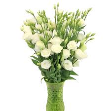 Image result for eustoma lisianthus in vase
