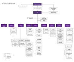 Organization Chart Scbs