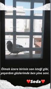 Seda 2020 Alayci Sozler Hayatin Anlami Ask Sozleri