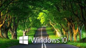 We hope you enjoy our growing. Hd Wallpapers For Windows 10 1920x1080 Natural Landscape Nature Green Tree Natural Environment 250401 Wallpaperuse