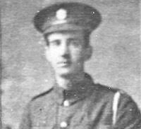 William Herbert Potter soldier in WW1