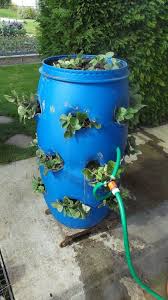 Arrosage des fraisiers en pot. Faire Une Tour A Fraisiers Jardinage En Pots Tour A Fraisiers Jardinage Hydroponique