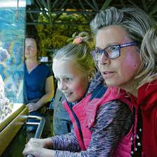 Kultur von ihrer schönsten Seite