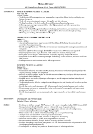 business process manager resume samples