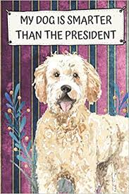 Find out more about the breed, plus we'll give you some tips on finding a reputable breeder of mini goldendoodle puppies. How To Draw A Goldendoodle