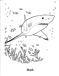 Shark does not have a single bone in its body and its skeleton is made up of cartilage. Free Printable Shark Coloring Pages For Kids