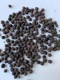 Image result for Tiliacora