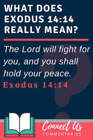 Check spelling or type a new query. Exodus 14 14 Meaning Of The Lord Will Fight For You You Need Only To Be Still Connectus
