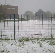 Experte sagt, sie ist „die disruptivste aktie der welt! Tempestade De Granizo Atinge Varios Bairros De Curitiba Veja Imagens Jornal O Parana